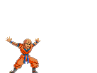 krillin_shot_2.gif